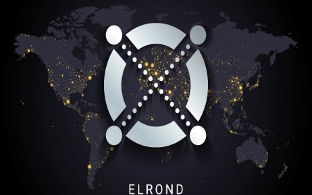 Elrond MultiversX Blockchain (EGLD)